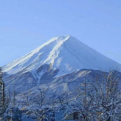 贪玩笑傲乾坤1.17.1版下载