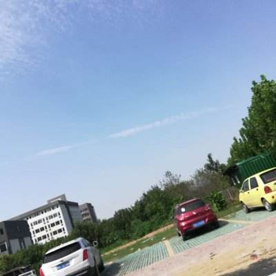 口袋植物无限红宝石版下载